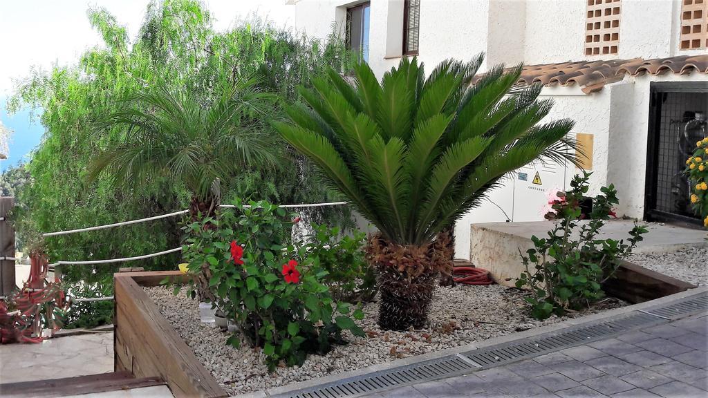 Olivos Holiday Home อัลเตอา ภายนอก รูปภาพ